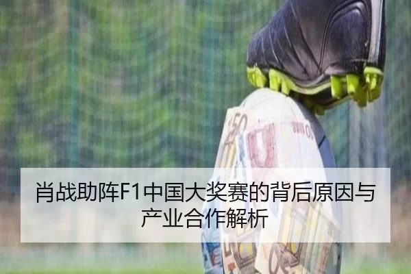 肖战助阵F1中国大奖赛的背后原因与产业合作解析