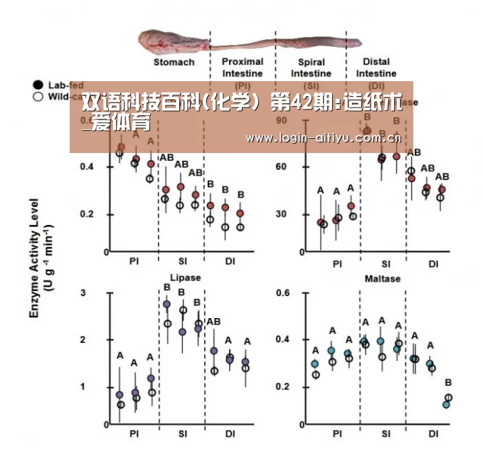 双语科技百科(化学) 第42期:造纸术_爱体育(图2) 爱体育